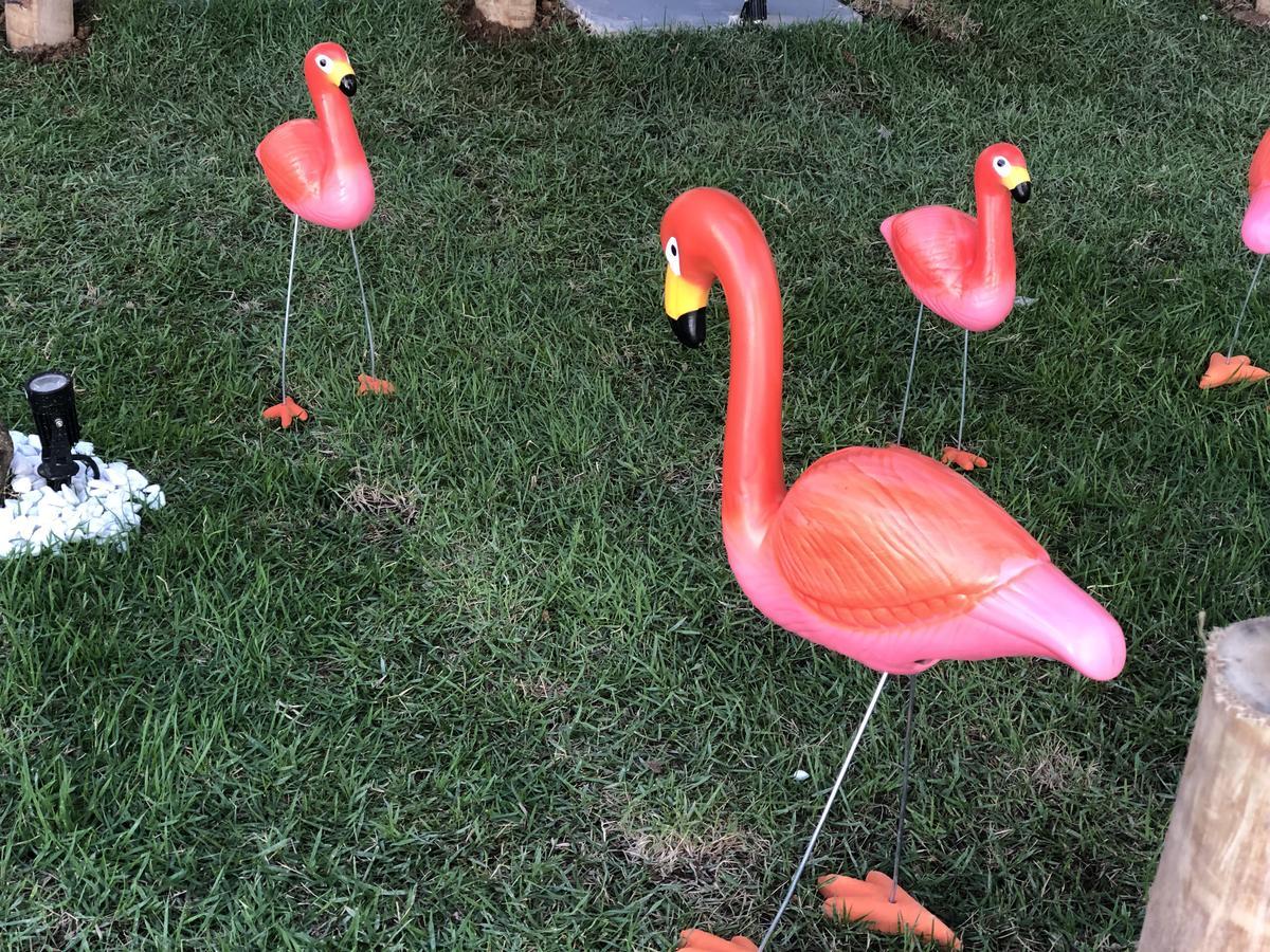 Flamingo Beach Pousada カボ・フリオ エクステリア 写真